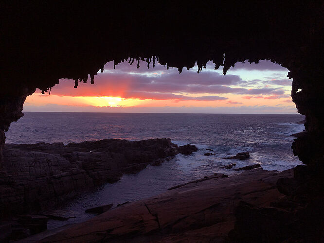 A la découverte de l'île Kangourou - theexploringpaw