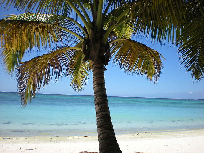 belles plage  à Maurice - ckosak