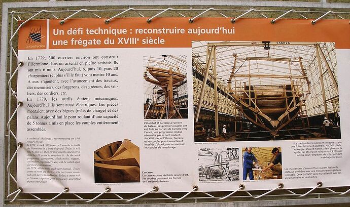 pour ceux qui ne pourront pas la voir au départ au lors de son périple - Hiacinthe pour ceux qui ne pourront pas la voir au départ au lors de son périple - Hiacinthe