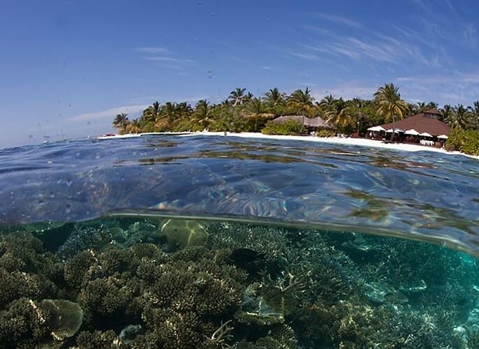 Météo du 16 Juin 2019 - Philomaldives Guide Safaris