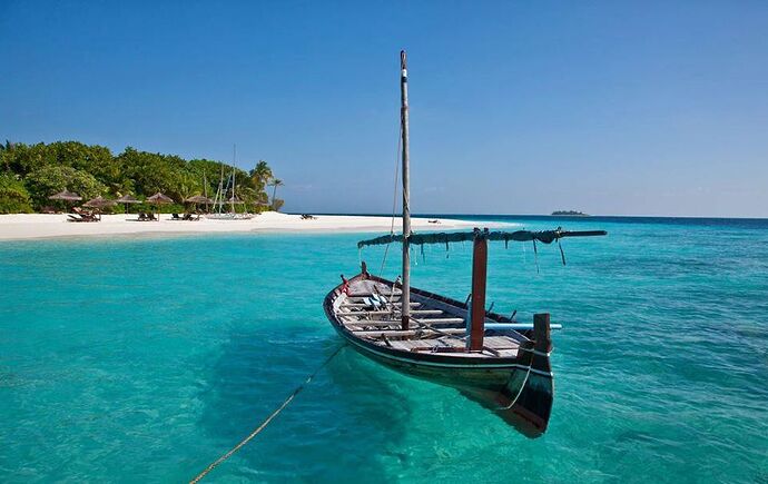 Re: Voyager seule au Maldives - Philomaldives Guide Safaris