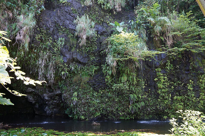 Découverte de la cote Ouest de Tahiti - cartesien