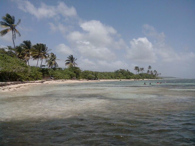 Etat, réel, des plages en Guadeloupe - parco