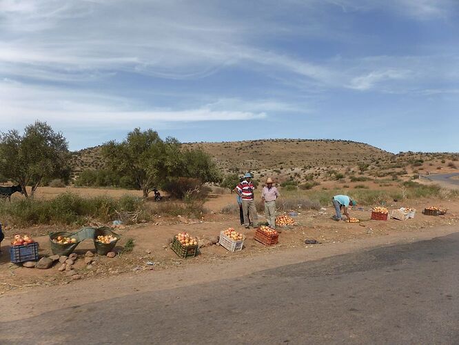 Re: Au retour de notre voyage en famille dans le sud du Maroc  - trostang