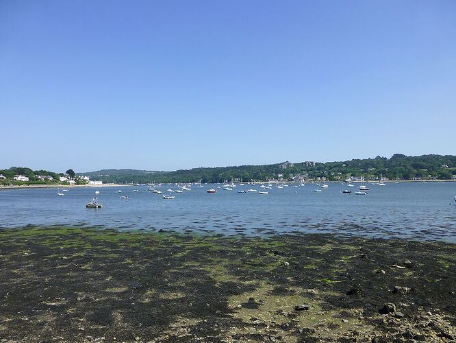 Re: Carnet de voyage, une semaine sous le soleil de Bretagne - Fecampois