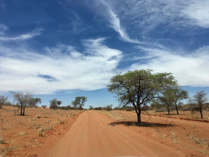 Retour en Namibie. - PATOUTAILLE