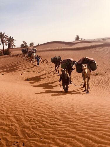 une semaine au Maroc et trek dans le désert avec guide - ktana