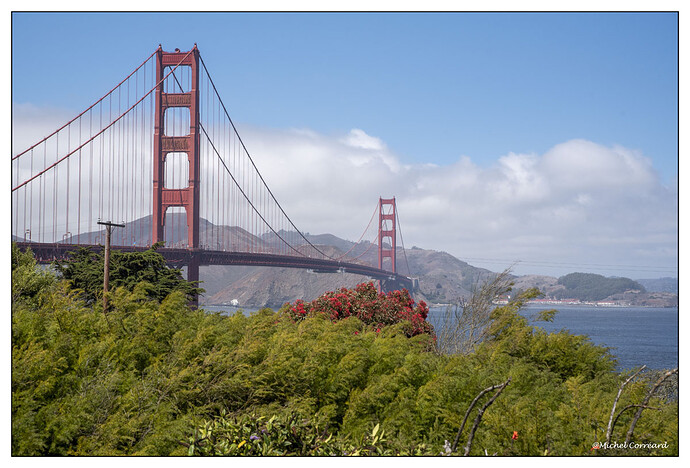 SF004