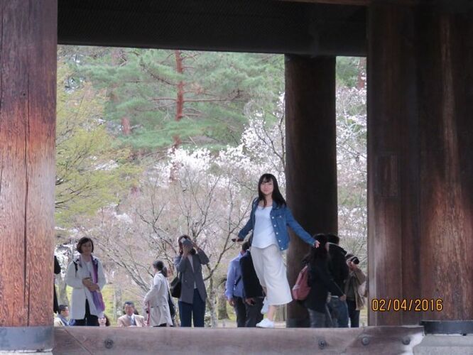 Re: 14 nuits au Japon - fin mars-début avril - quinqua voyageuse