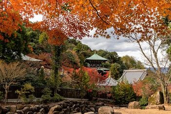 Compte-rendu de 3 semaines au Japon en automne (novembre 2019) - Pauline_T88