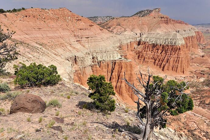 Parc national de Capitol Reef et Cathedral Valley - chellmi