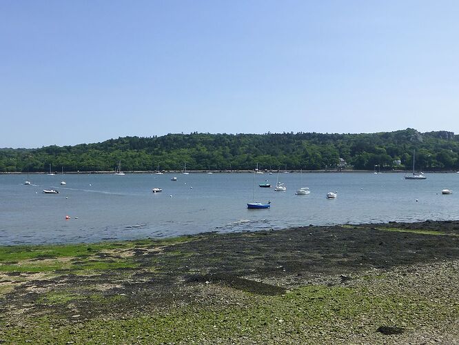 Carnet de voyage, une semaine sous le soleil de Bretagne - Fecampois