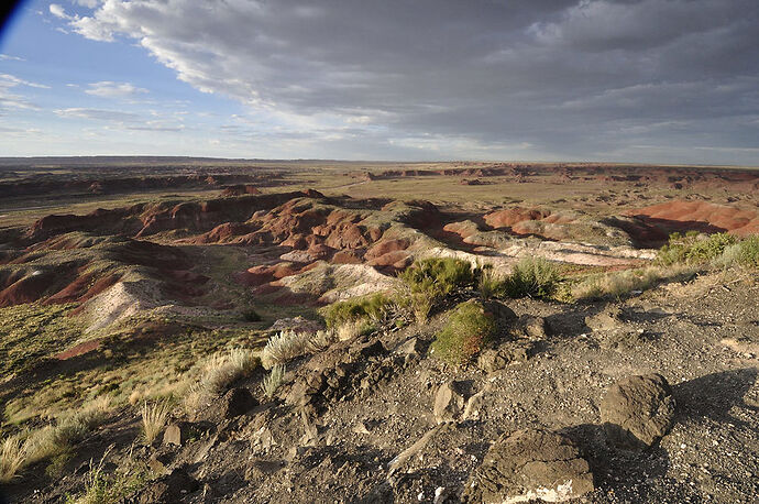 Dimanche 26 Juillet : Petrified Forest – Painted Desert NP - darth