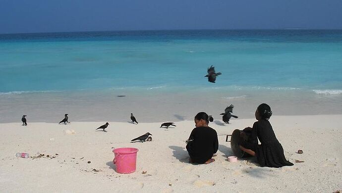Les Enfants des Maldives   - Philomaldives  Guide  Maldives