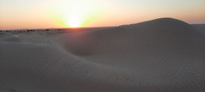 Guide et excursions sur Djerba et Sud Tunisien - Whitney