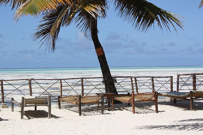 Re: Hôtel Stone Town et Jambiani à Zanzibar  - Philippe Thouvenot