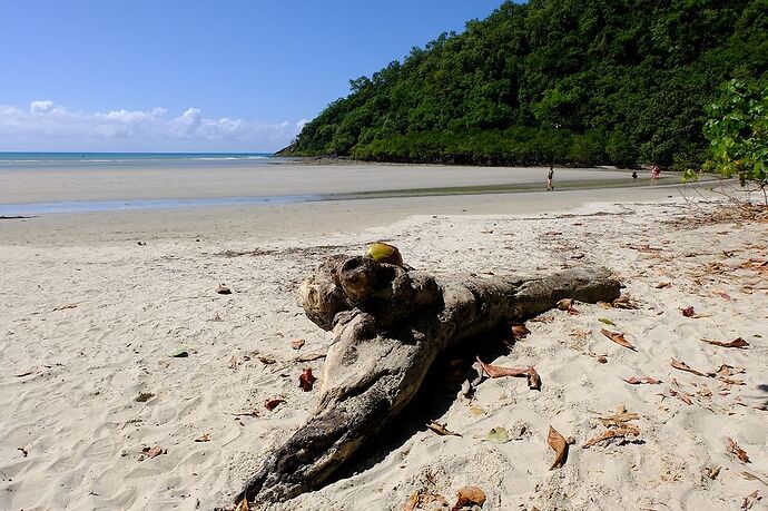 A la découverte du Tropical North Queensland - CelCed6