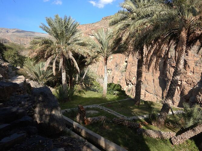2 semaines de camping à Oman : des treks, des dunes et des wadis : Suite - Carines26