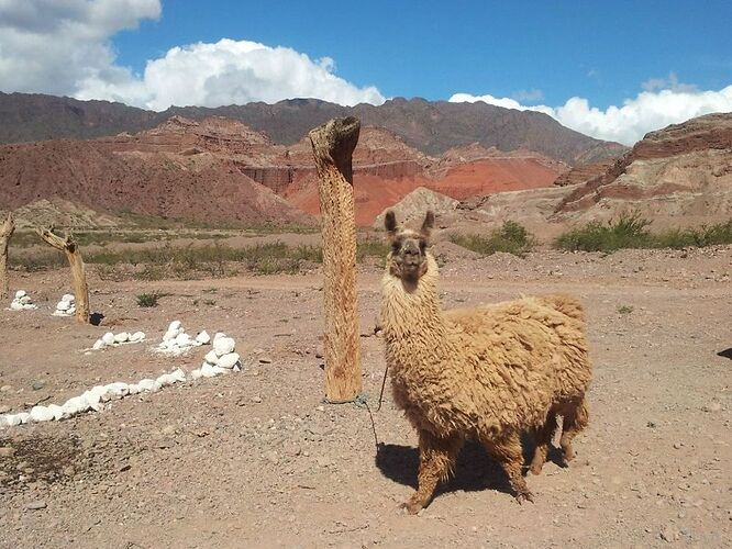Re: Argentine 2 semaines en septembre - Planete-Voyageuse