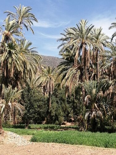 Re: Agadir et ses environs - trostang