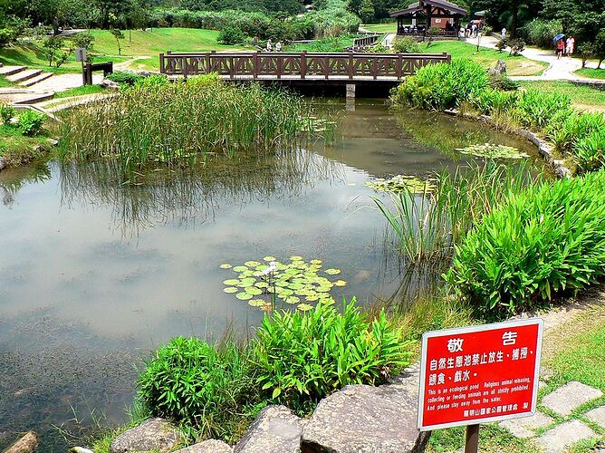 Nature et culture: Taiwan, une autre Asie - golf_bravo