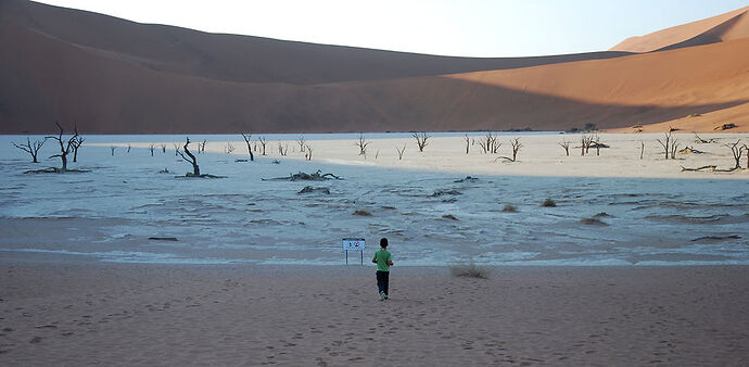 J14 - Dead vlei, Sossusvlei, Tsaris Mountains - llce