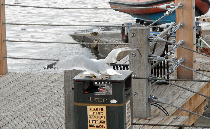Une responsable de la pollution marine - calamity jane