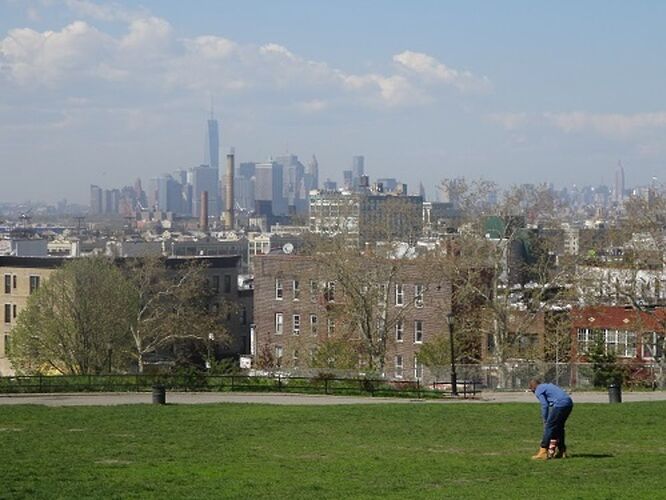 Sunset Park et l'introuvable - sourisgrise