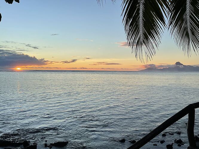 Retour de POLYNÉSIE : TAHITI, le retour. - PATOUTAILLE