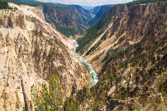 Vendredi 28 Juillet – Grand Canyon of Yellowstone - darth