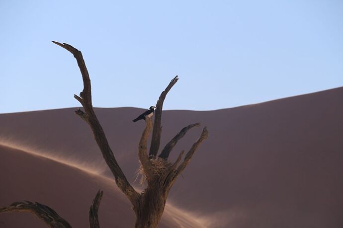 Re: Namibie - 15 jours en octobre 2018 - pascal41lc