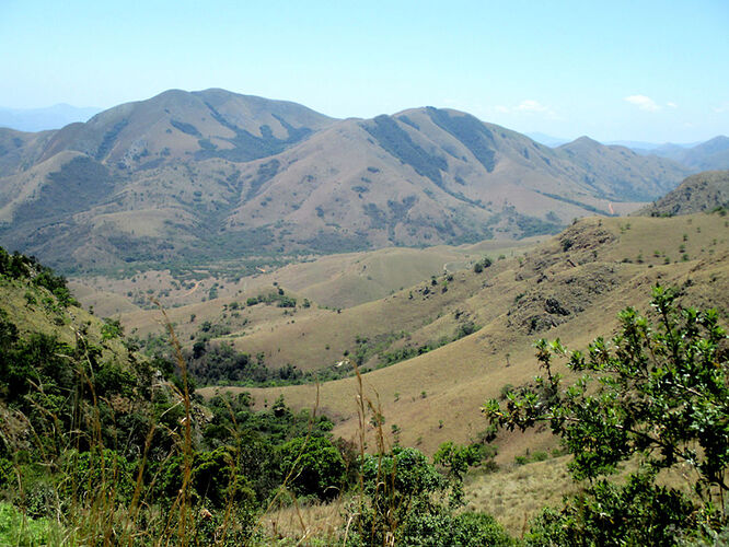 Re: Au paradis ! Compte rendu d'un voyage de 2 petites semaines en Afrique du Sud - L-argonnais Re: Au paradis ! Compte rendu d'un voyage de 2 petites semaines en Afrique du Sud - L-argonnais
