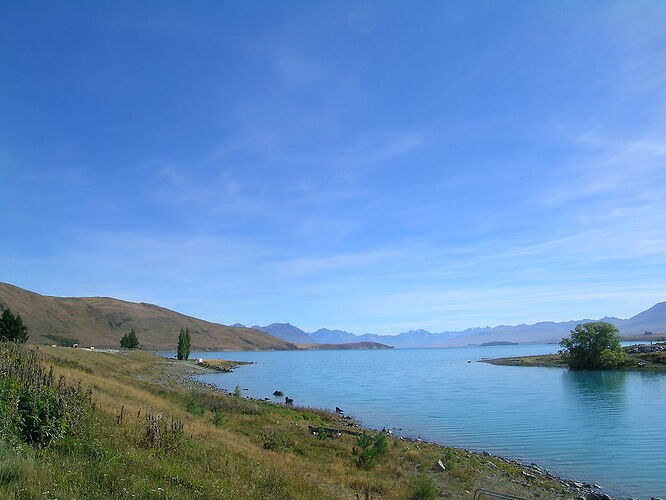 Souvenirs Ile Sud 3, Tekapo, Christchurch, Akaroa - tante cricri