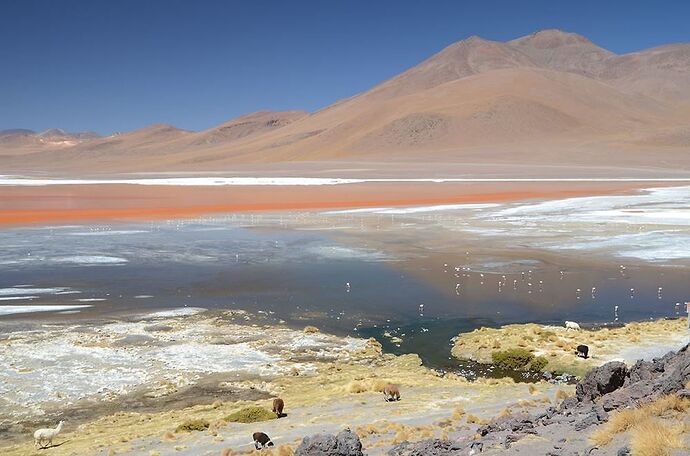 Bolivie : au cœur des Andes - Derriere-l-horizon