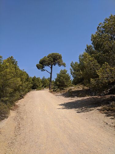 Re: Carnet de voyage, deux semaines en Provence, semaine n°2 - Fecampois