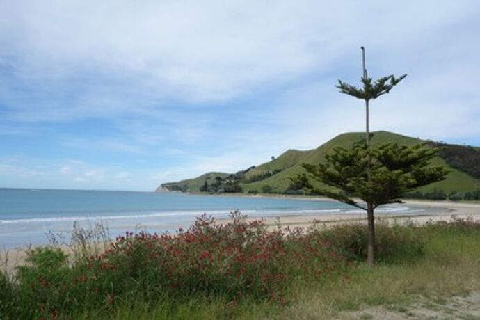 Re: Road trip de 3 semaines dans l'île du sud en Nouvelle-Zélande : réserver les logements - marie_31