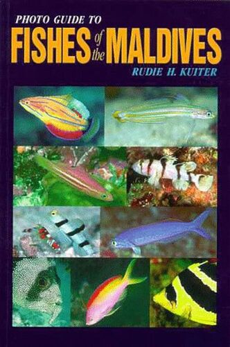 Re: Listing de la faune aquatique Maldives ?  - Philomaldives Guide Safaris