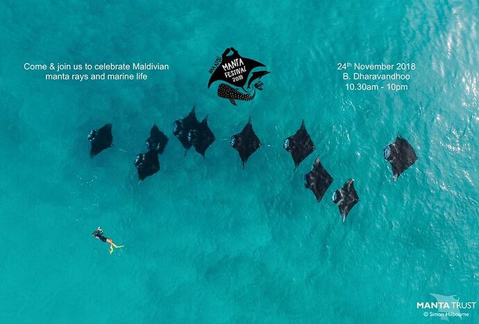 Baa Atoll  Mantas Festival Novembre 2018  - Philomaldives Guide Safaris