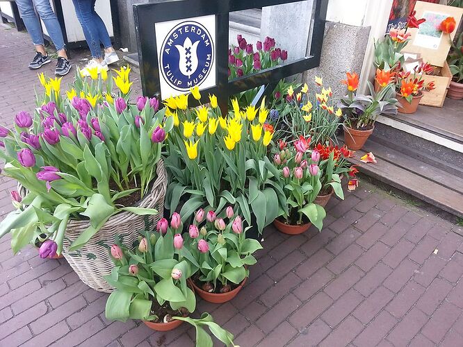 3 jours au pays des tulipes: Amsterdam et le Keukenhof - Mathou2139