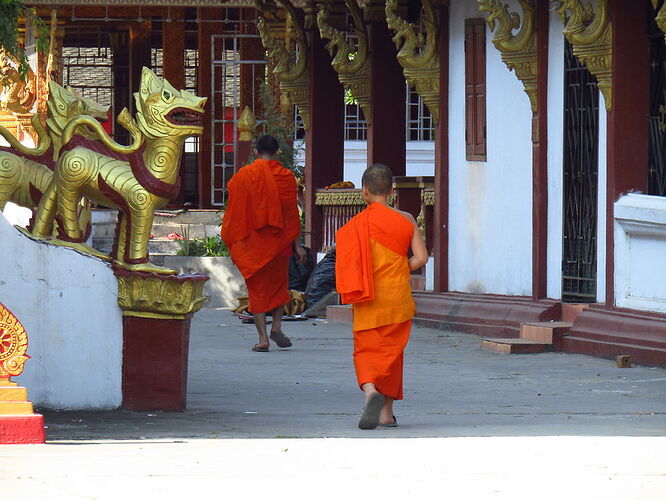 Du Sud au Nord, les milles couleurs du Laos - N-Gwen