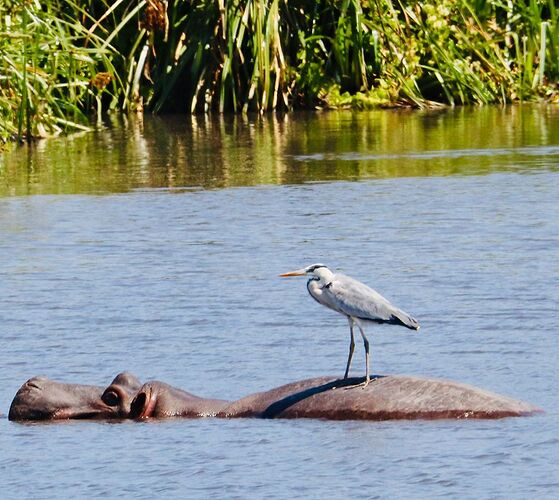 Voyage inoubliable en Tanzanie - CORADOM