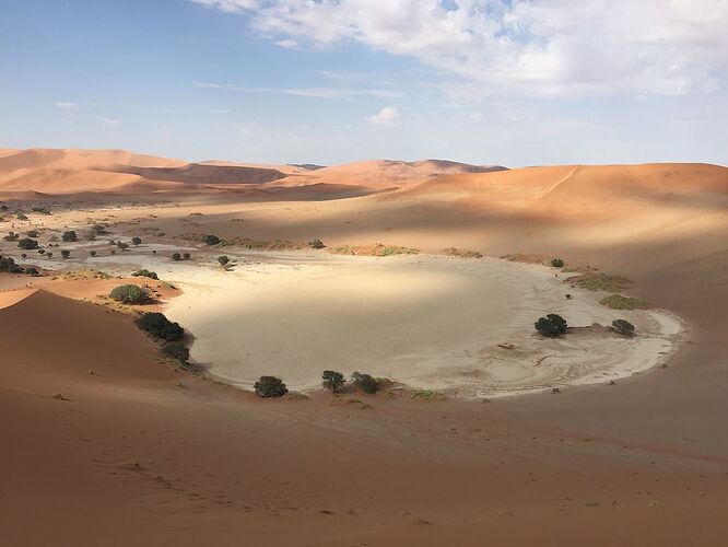 J14 - Dead vlei, Sossusvlei, Tsaris Mountains - llce