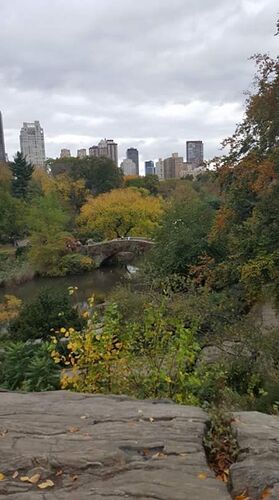 Re: L'automne à Central Park - New-York - Clemarie24