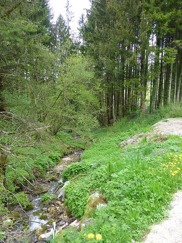 Re: Carnet de voyage, une semaine dans les Alpes au printemps  - Fecampois