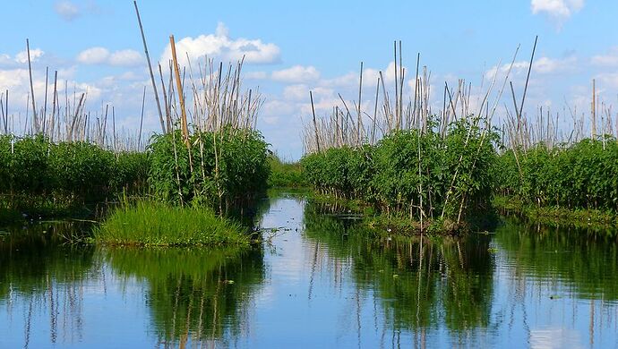 Re: Deux semaines de rêve en Birmanie en novembre 2017 - chellmi