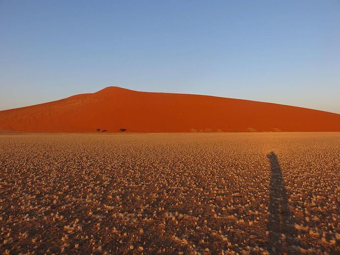 Re: Safari en Namibie - yensabai