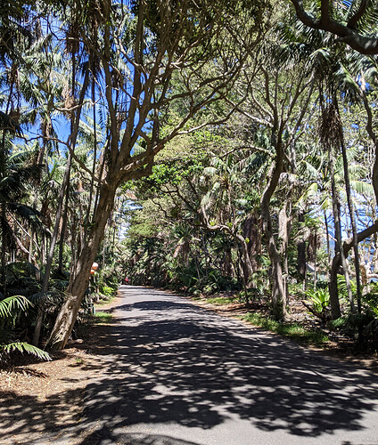 Randonnées et détente au plus près de la nature: 5 jours sur Lord Howe Island - exploringpaw