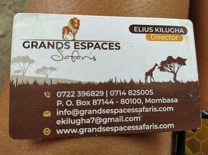 Guide Safari Elius Kilugha - clara-reynaud