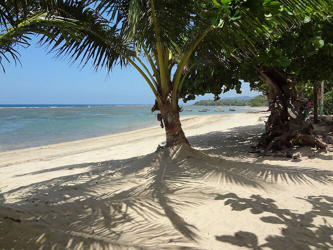 Retour de La Havane et Baracoa - Mai 2016 - cuba2000