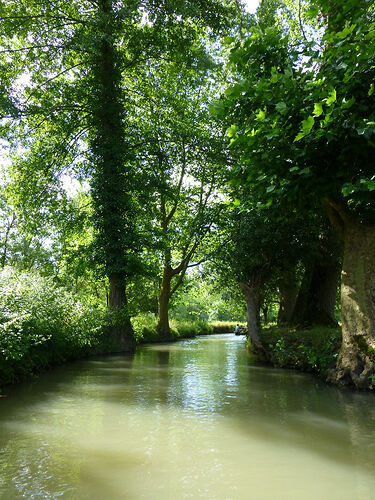 Re: Une semaine dans le Marais Poitevin - Fecampois